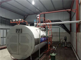 中(zhōng)糧集團2台2噸電加熱鍋爐